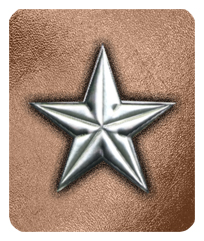 DF35-430-SL-BZ Star Silver-Bronze